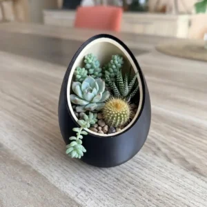 Cache-pot "Ovo" bicolore noir mat et crème au design biseauté en impression 3D, contenant une plante araignée Chlorophytum, posé sur une table en bois.