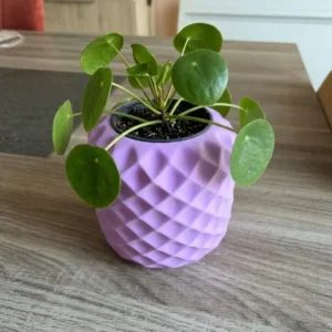 Cache-pot "Prisme Violet" au design géométrique facetté en impression 3D, contenant une plante Pilea peperomioides, posé sur une table en bois.