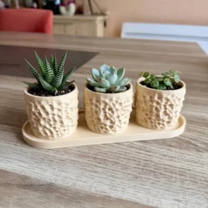 Ensemble de trois mini cache-pots texturés couleur sable avec leur plateau de présentation, imprimés en 3D sur une table en bois.