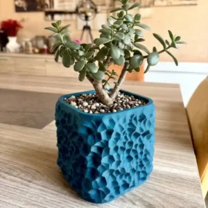 Objet en impression 3D cache-pot moderne avec un arbre de jade sur une table