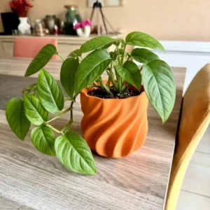 Objet en impression 3D cache-pot design orange contenant une plante verte aux feuilles lisses posé sur une table