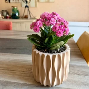 Cache-pot design Onda de couleur beige mat avec une plante verte fleurie posé sur une table en bois par 3DWorlds