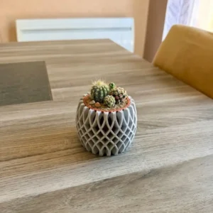 Cache pot ajouré Lattice imprimé en 3D en gris clair mat avec pot intérieur amovible couleur terre cuite et son mini cactus