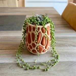Cache pot alveole Cellula en impression 3D bicolore beige mat et terre cuite motif organique avec plante