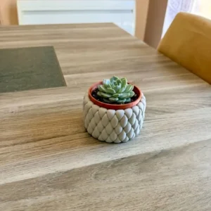 Cache-pot alvéolé motif écailles imprimé en 3D couleur gris clair mat avec pot intérieur amovible terre cuite avec succulente