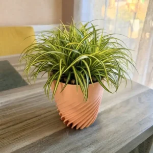 Cache-pot Spira beige texturé en 3D accueillant une plante verte d'intérieur